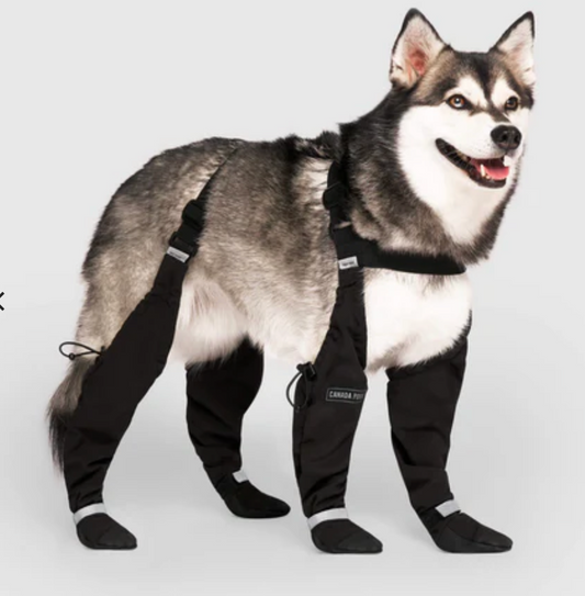 Canada Pooch Suspender Boots - - Misc image 1