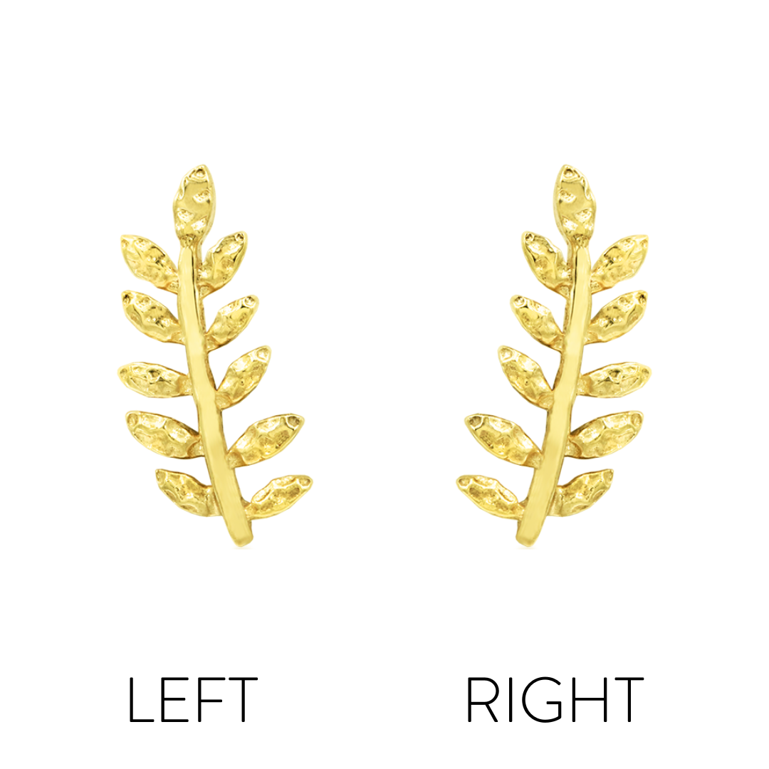 Willow - Misc image 2