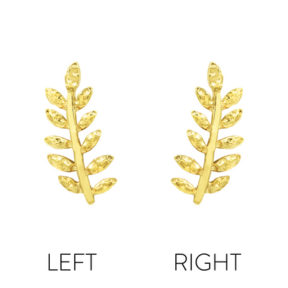 Willow - Misc image 2