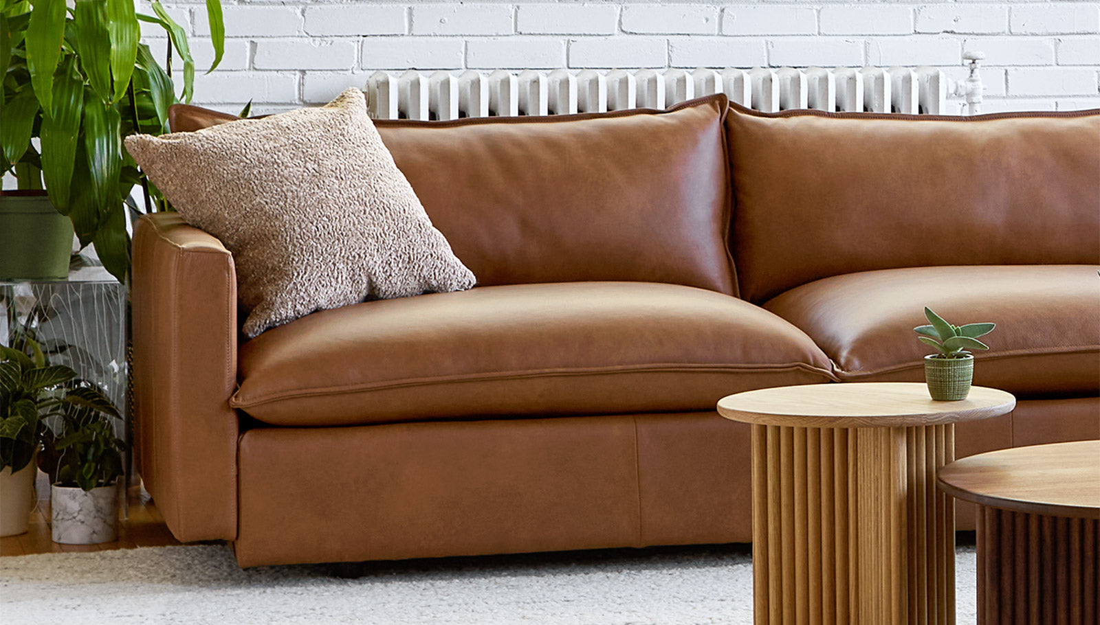 Sola Sofa - Furniture image 14