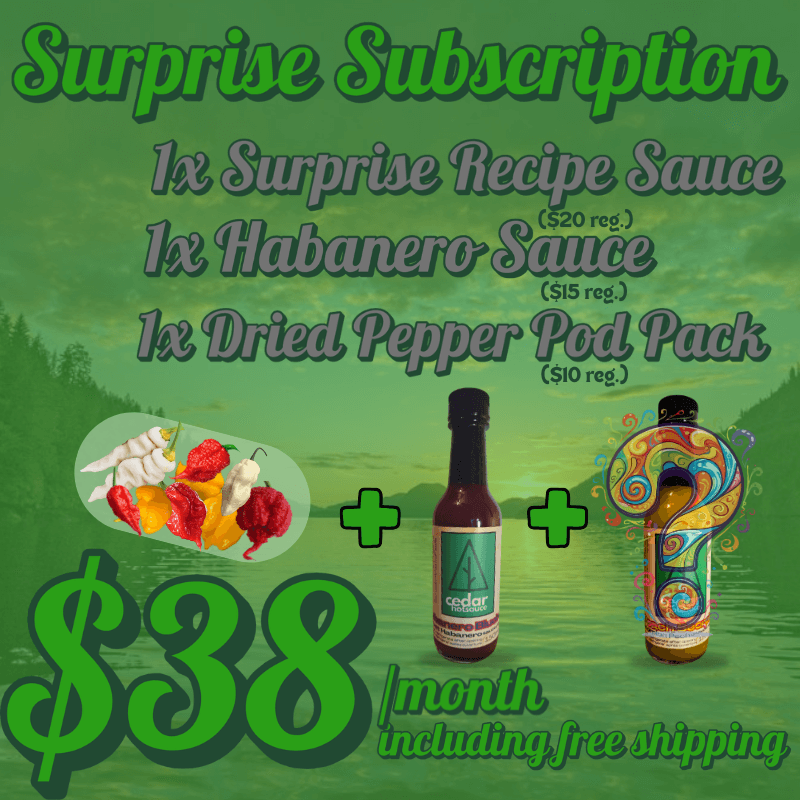Monthly Suprise Recipe Subscription *SAUCE PACK* - Misc image 2