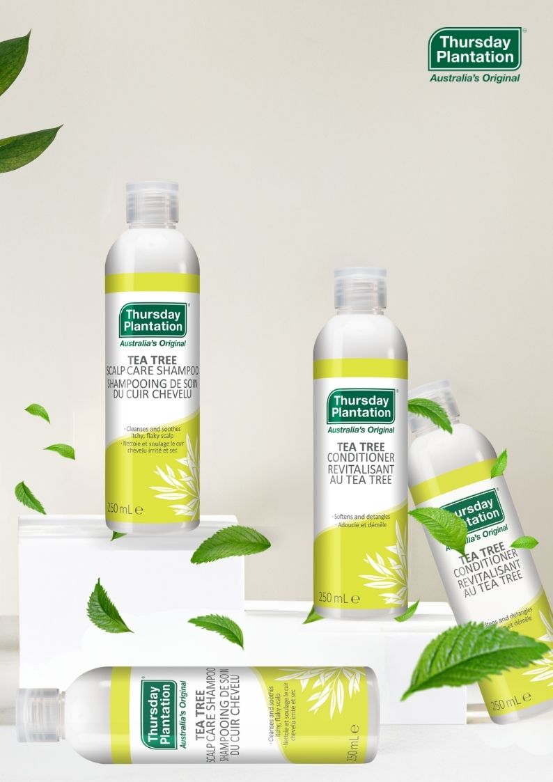 Tea Tree Scalp Care Shampoo 4 x 250mL Pack - Beauty image 3