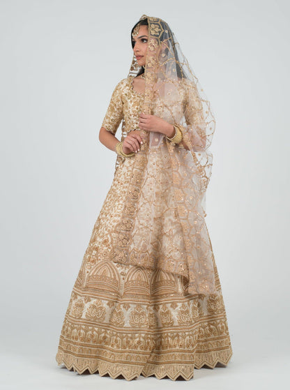 Champagne Renaissance Dupatta - Misc image 3