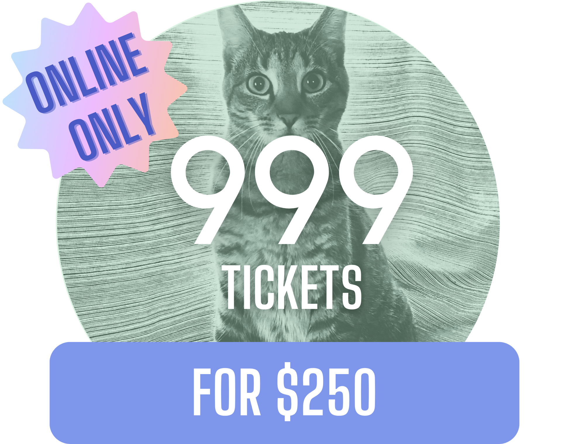 999 for $250 - Misc image 2