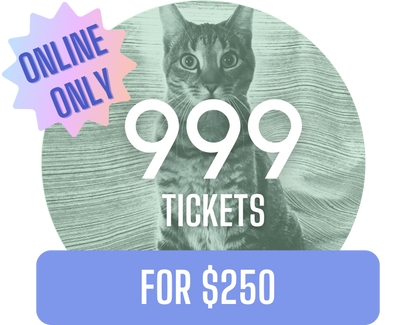 999 for $250 - Misc image 2