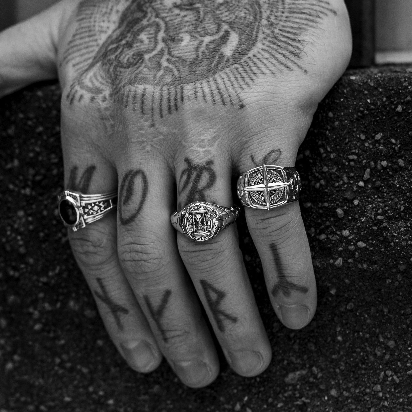 Tortuga - Misc image 4