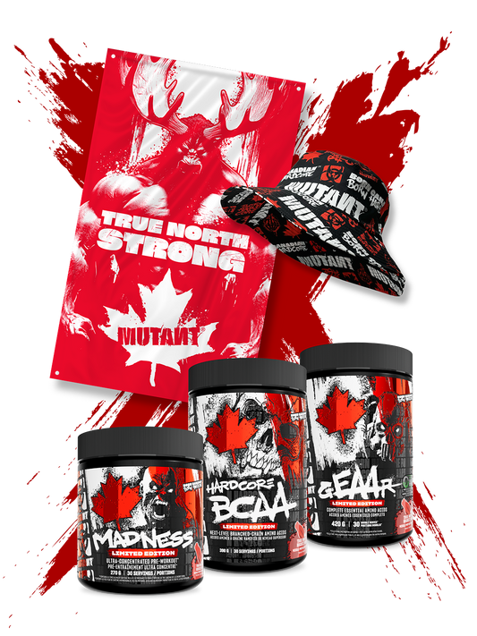 True North Bundle - Misc image 1