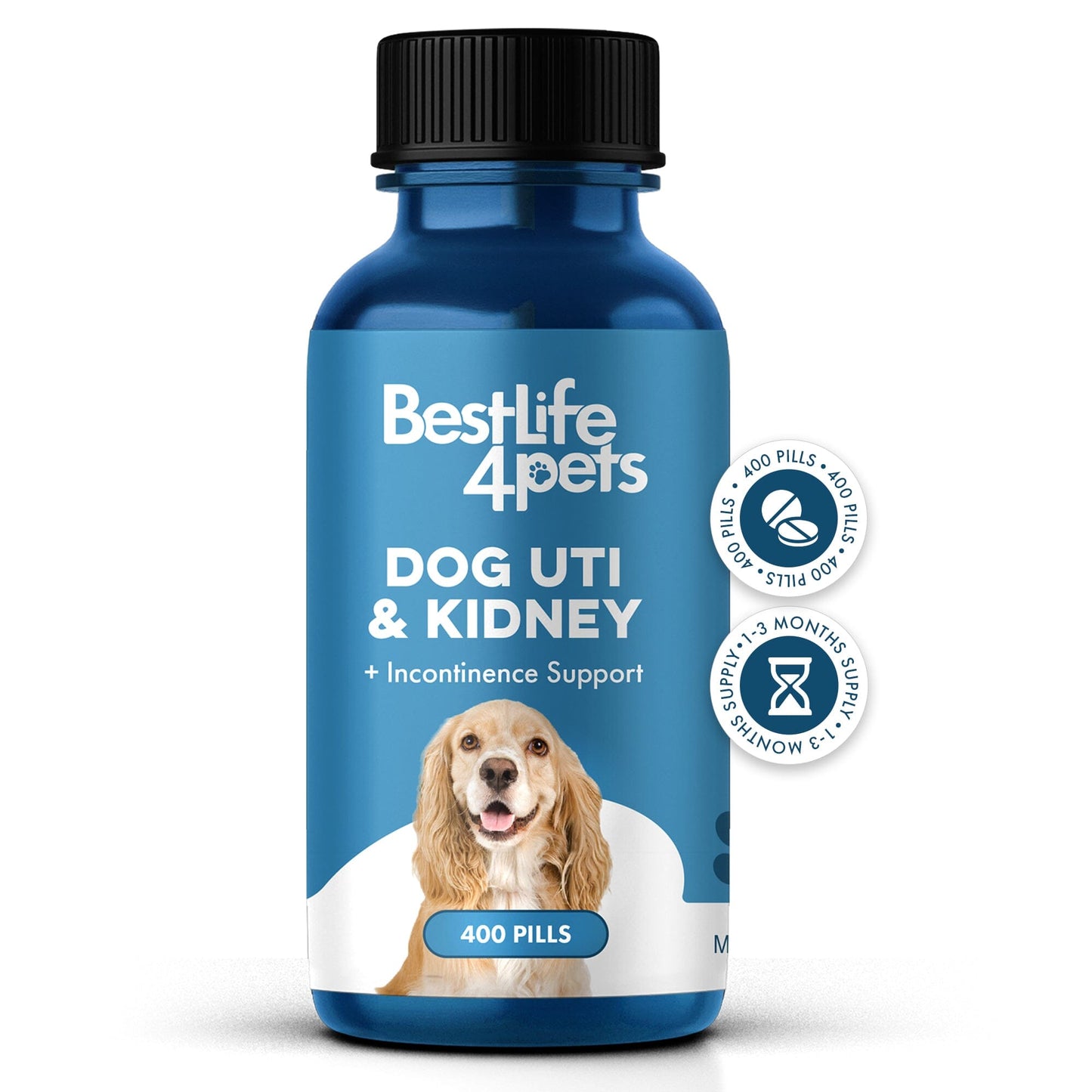 Dog UTI & Bladder Health Bundle (Urinary Tract Infections, Incontinence, Frequent Urination) - Jewelry image 4