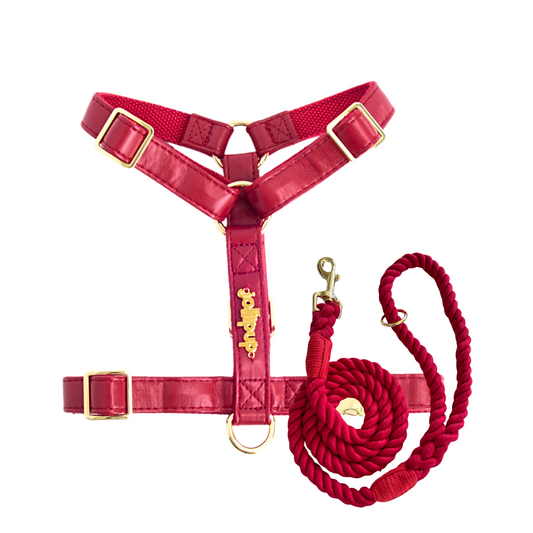 Vegan Leather Harness & Braided Rope Leash Bundle - Misc image 1