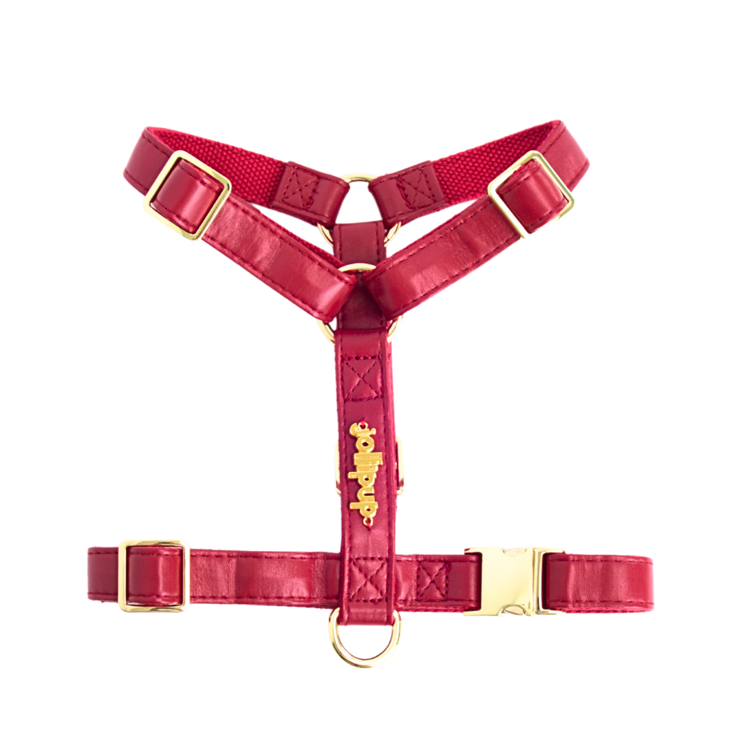Vegan Leather Harness & Braided Rope Leash Bundle - Misc image 3