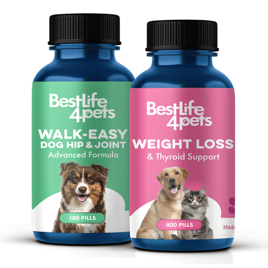 Dog Joint Health & Mobility Bundle (Arthritis, Hip Pain, Mobility Issues) - Furniture image 1