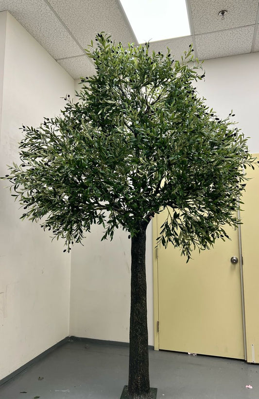 8ft Artificial Olive Tree rental - Home Decor image 1