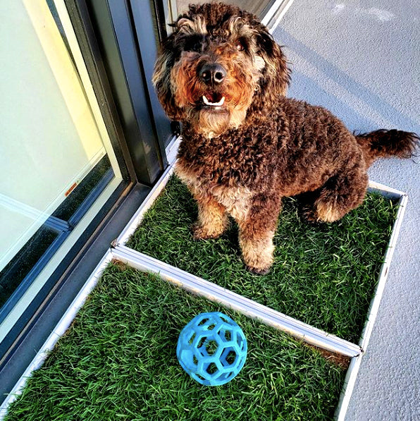 XL Size - Kitchen & Dining image 2