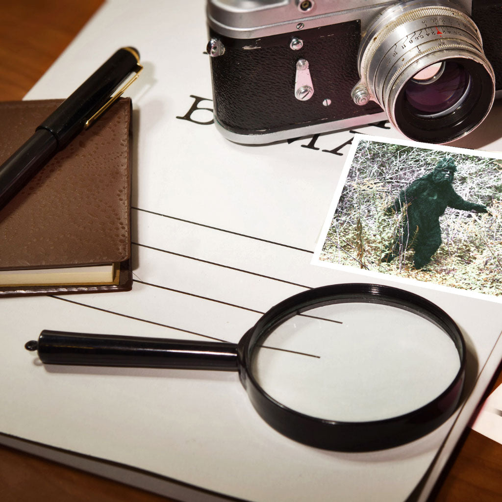 The Case of the Missing Bigfoot - Misc image 1