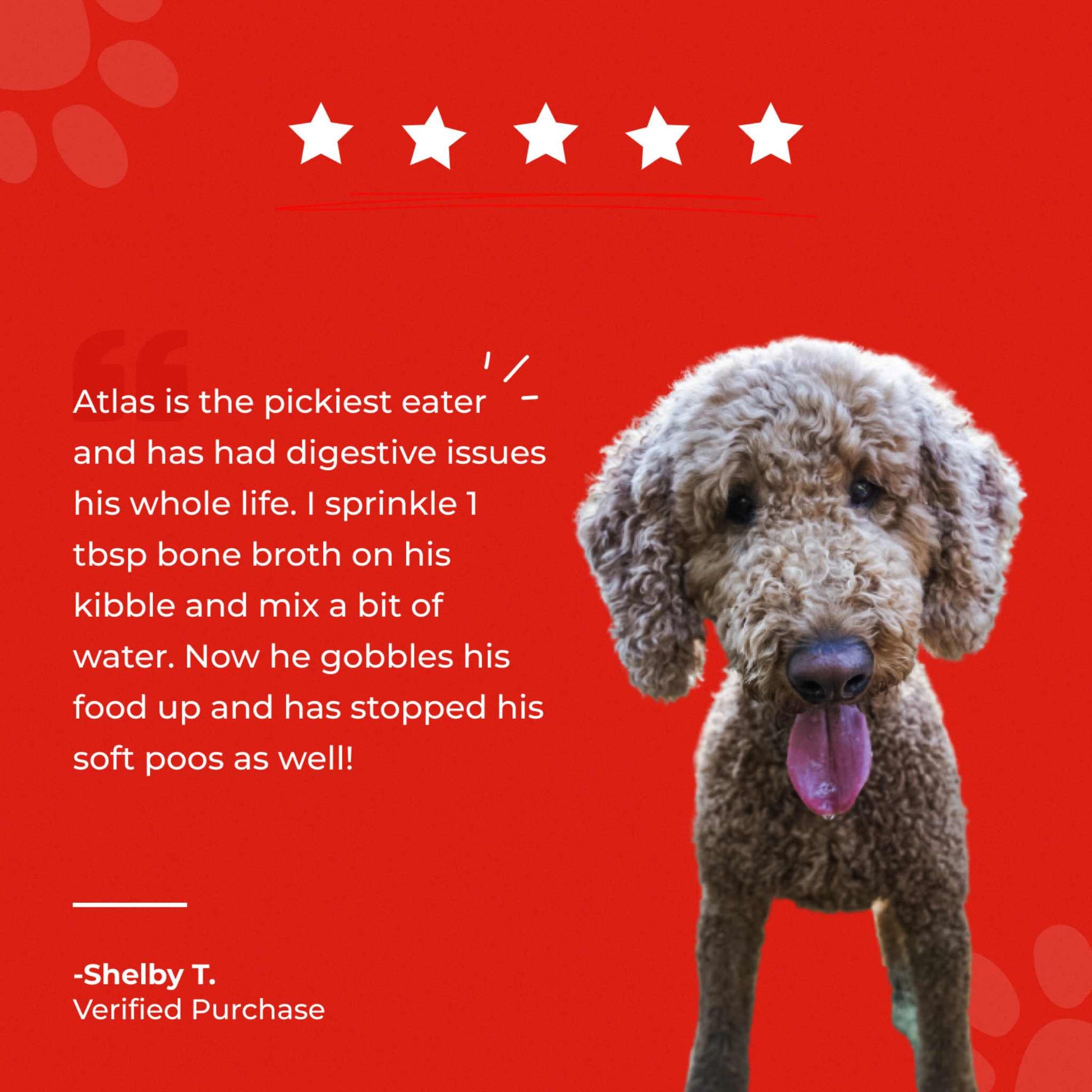 Bone Broth For Dogs & Cats - Misc image 16