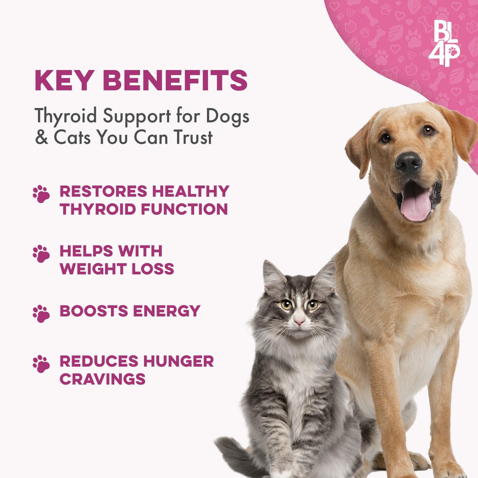 Dog Joint Health & Mobility Bundle (Arthritis, Hip Pain, Mobility Issues) - Furniture image 6