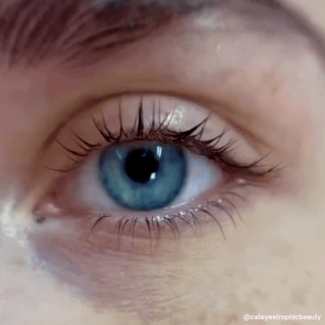 Revive7 Lash Serum - Kitchen & Dining image 3