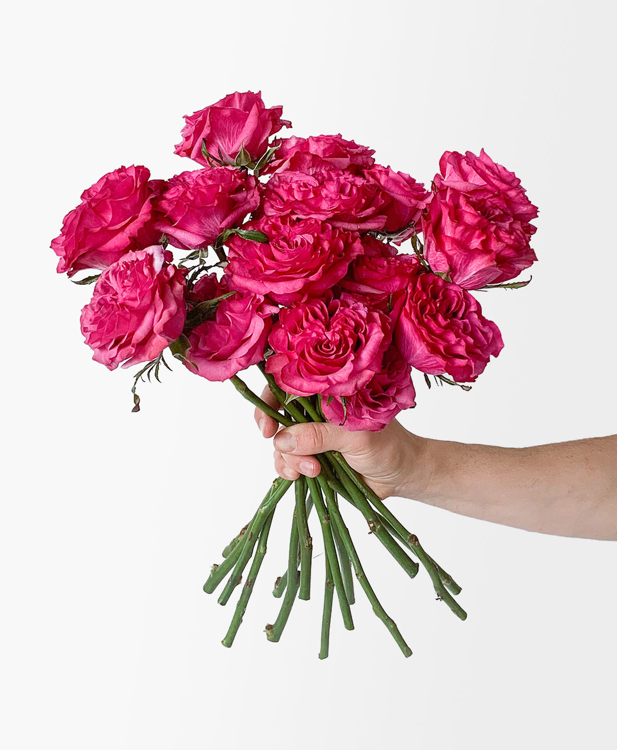 Country Blues Roses (15 stems) - Misc image 1