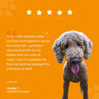 Bone Broth For Dogs & Cats - Misc image 11