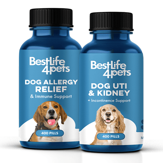 Dog UTI & Bladder Health Bundle (Urinary Tract Infections, Incontinence, Frequent Urination) - Jewelry image 1