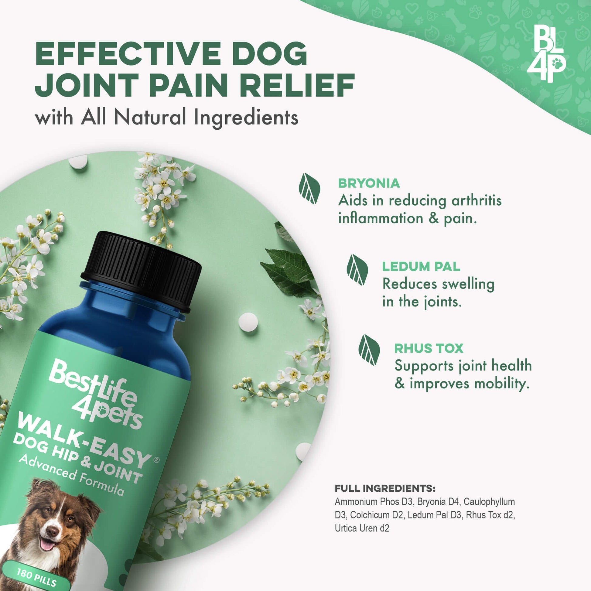 Dog WALK-EASY™ Advanced Hip & Joint Pain Remedy - Furniture image 7