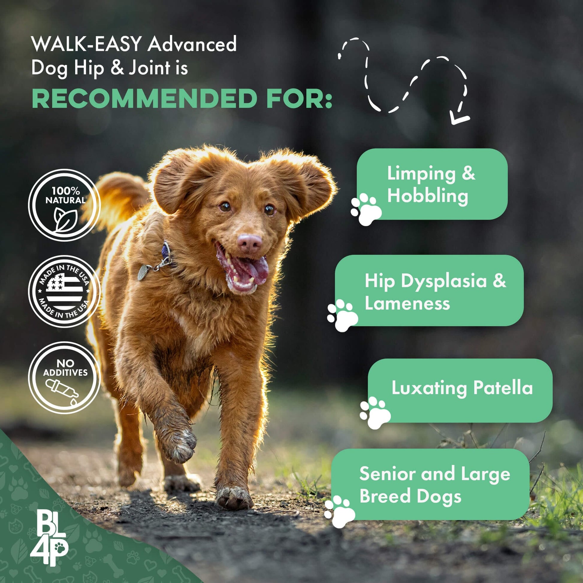 Dog WALK-EASY™ Advanced Hip & Joint Pain Remedy - Furniture image 6
