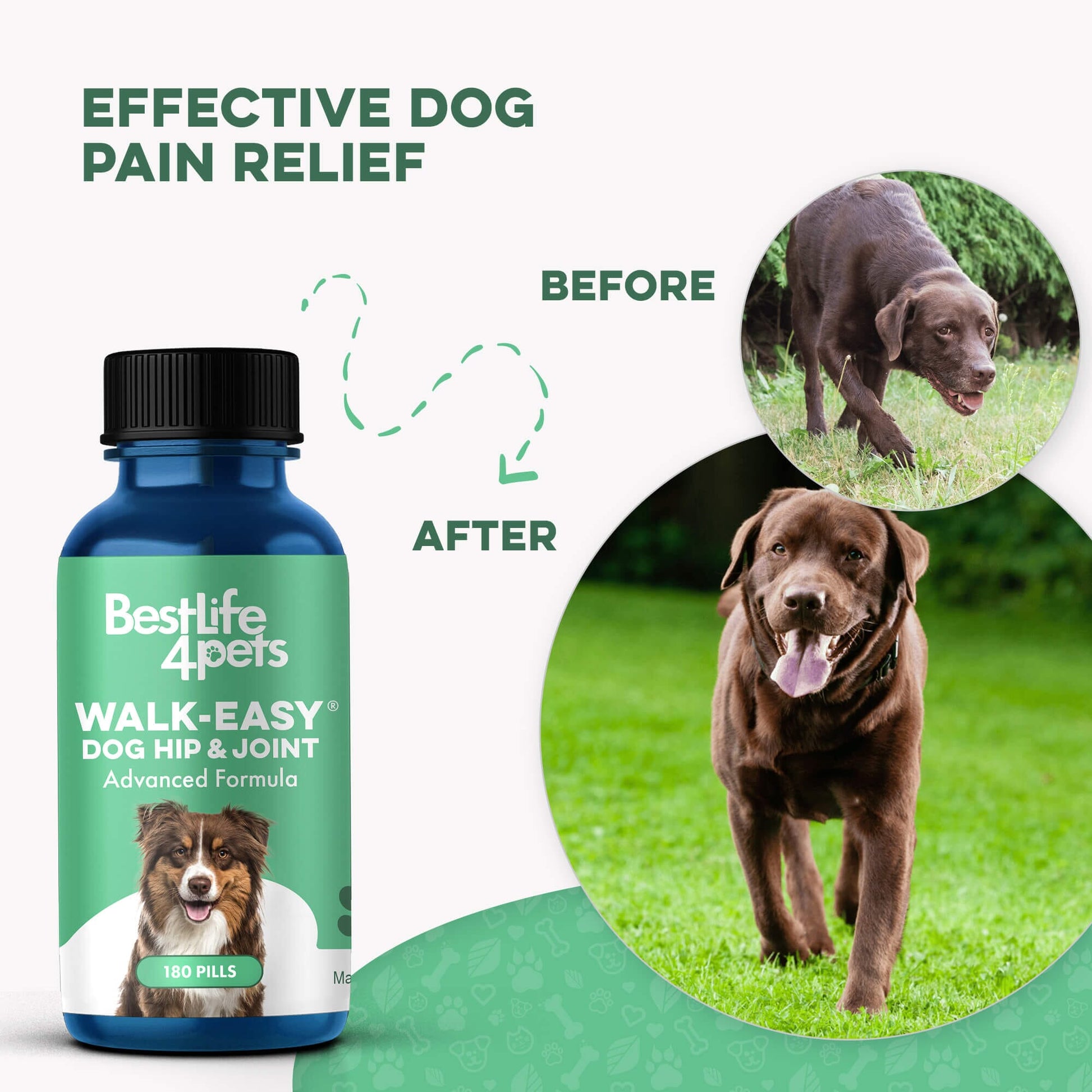 Dog WALK-EASY™ Advanced Hip & Joint Pain Remedy - Furniture image 4