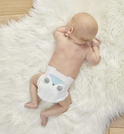 eco diapers subscription - Misc image 24