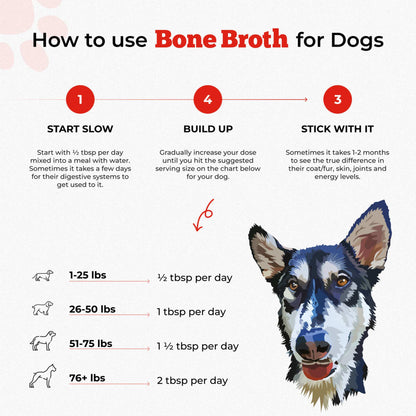 Bone Broth For Dogs & Cats - Misc image 18