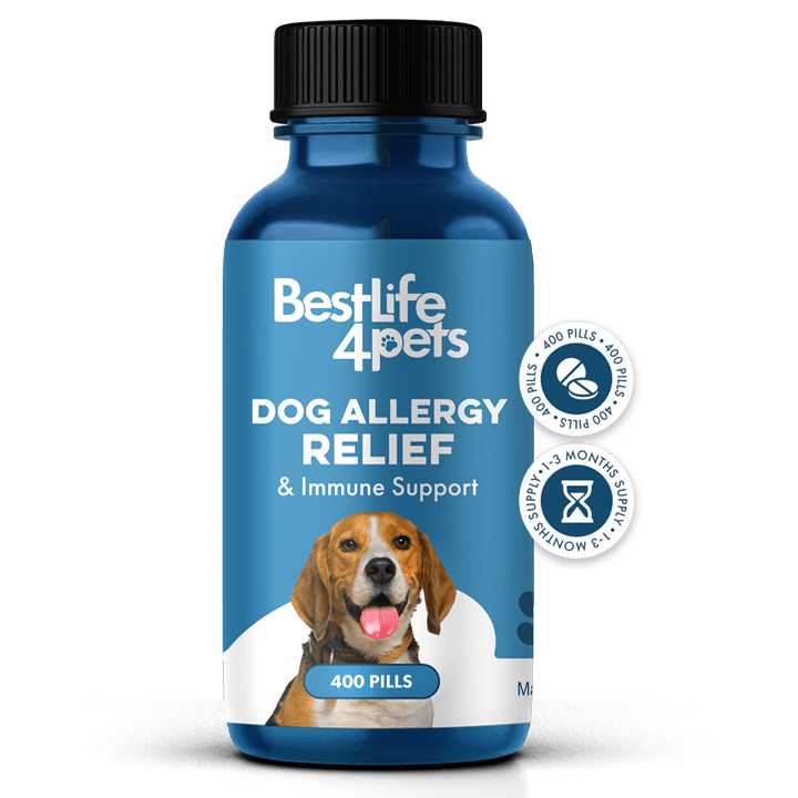 Dog UTI & Bladder Health Bundle (Urinary Tract Infections, Incontinence, Frequent Urination) - Jewelry image 6