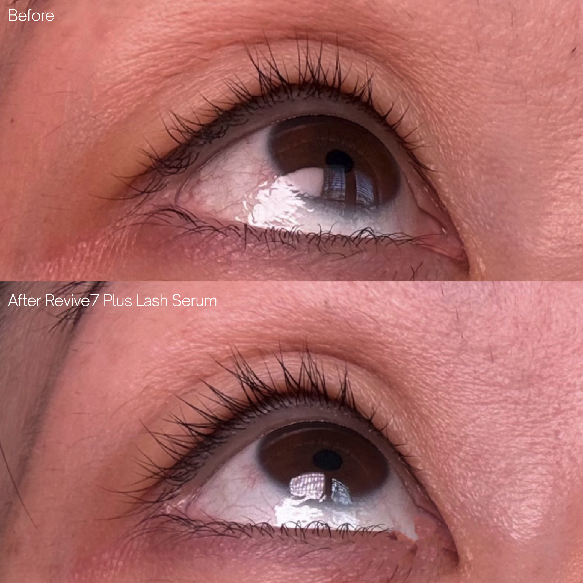Revive7 Plus Lash Serum - Home Decor image 6