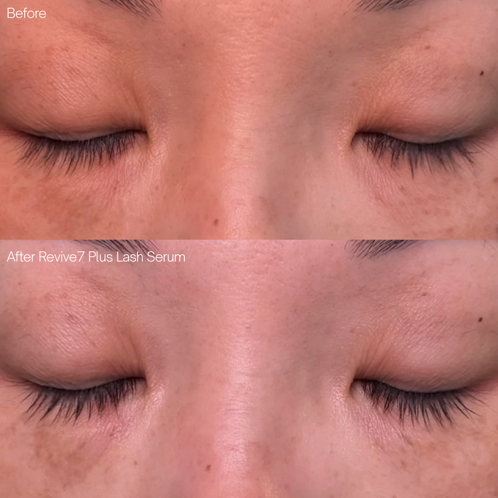 Revive7 Plus Lash Serum - Home Decor image 5