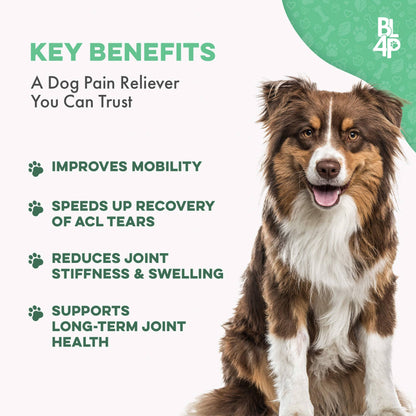 Dog WALK-EASY™ Advanced Hip & Joint Pain Remedy - Furniture image 3