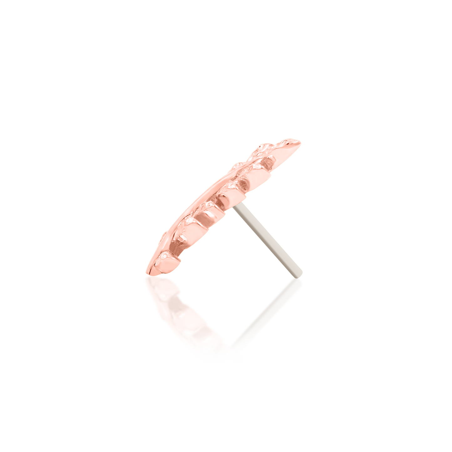 Willow - Misc image 26