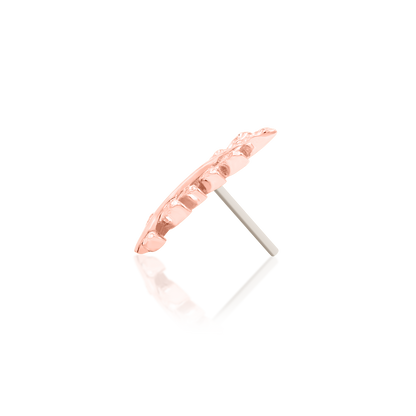 Willow - Misc image 26