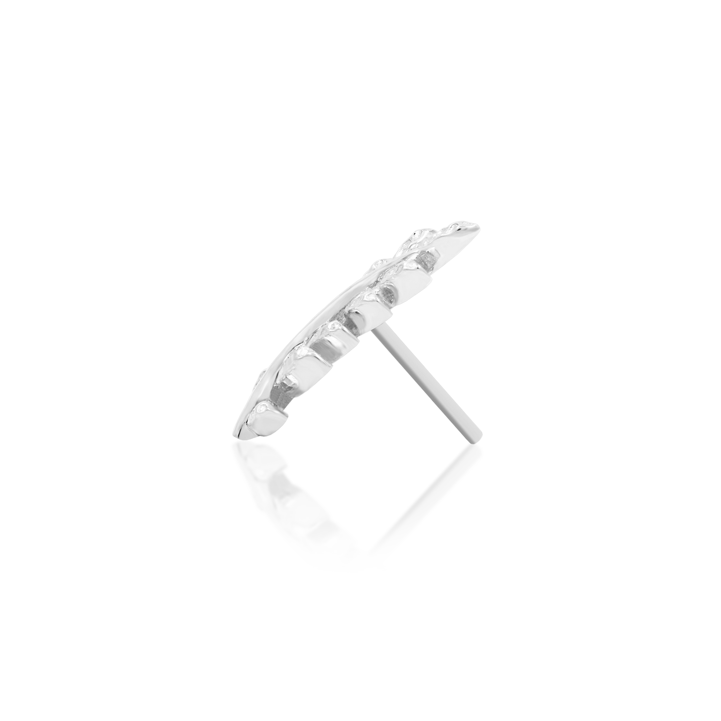 Willow - Misc image 24