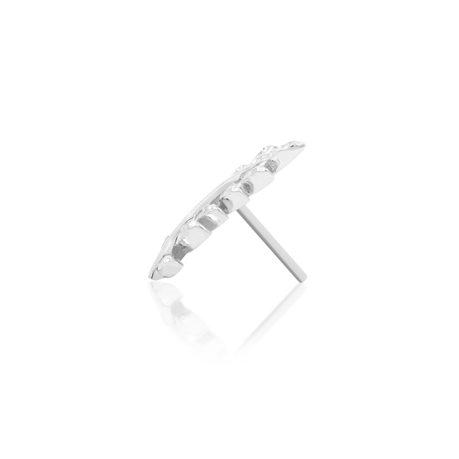 Willow - Misc image 24