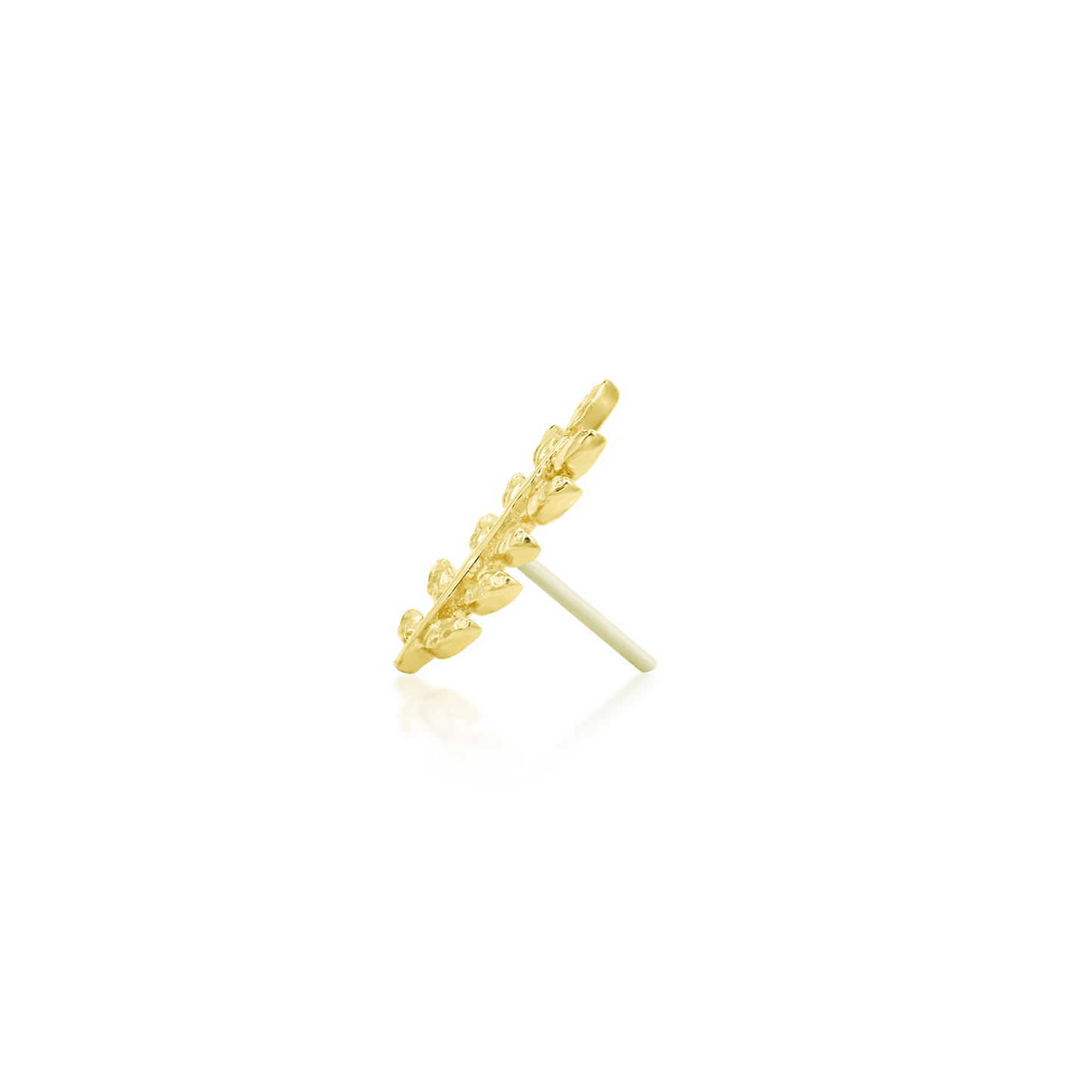 Willow - Misc image 8