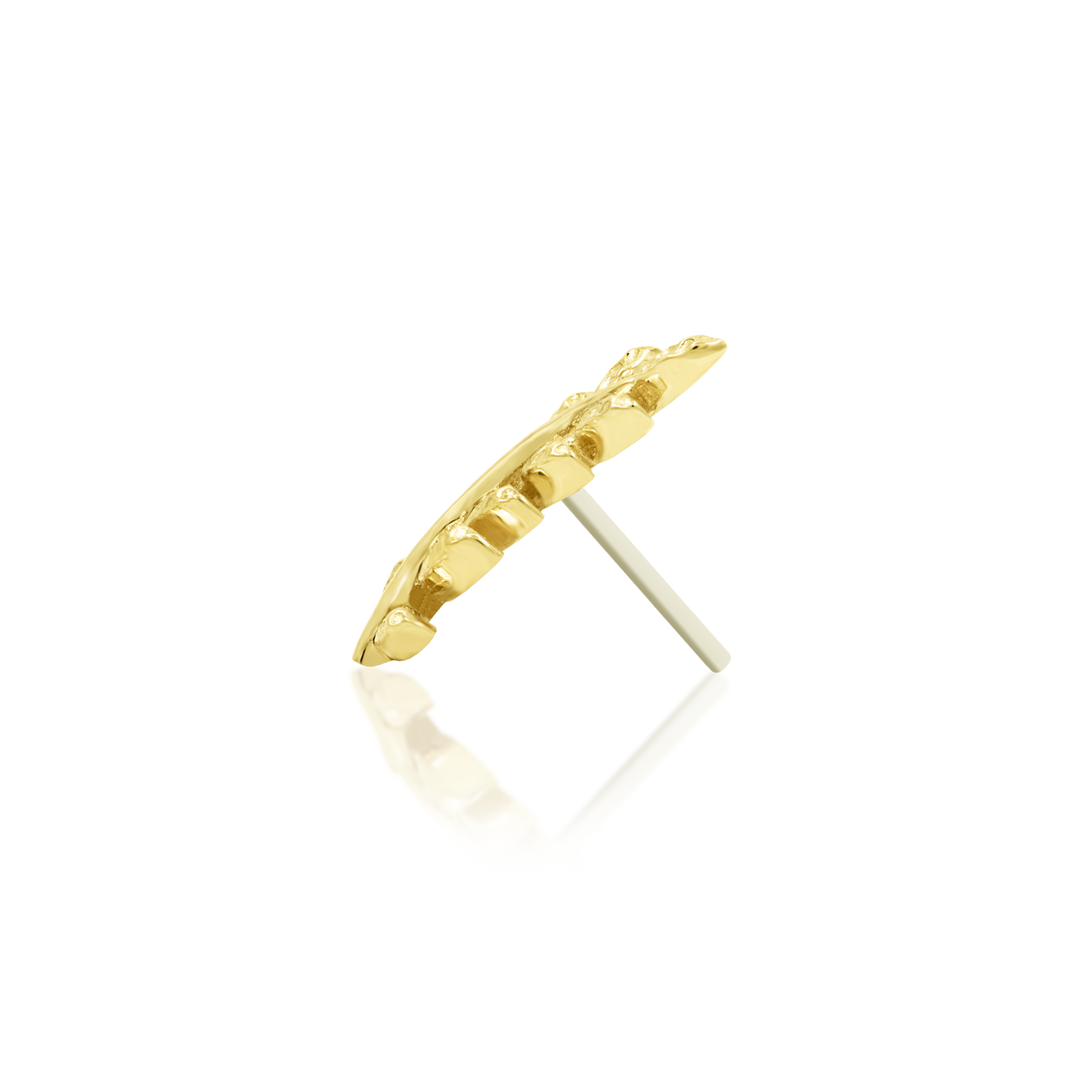 Willow - Misc image 21