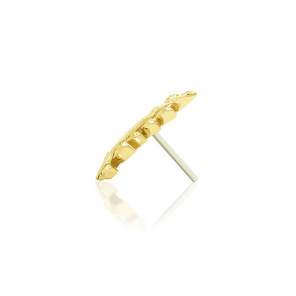 Willow - Misc image 21