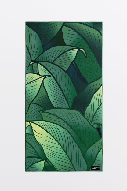 Le coffret Grandeur Nature - Misc image 5