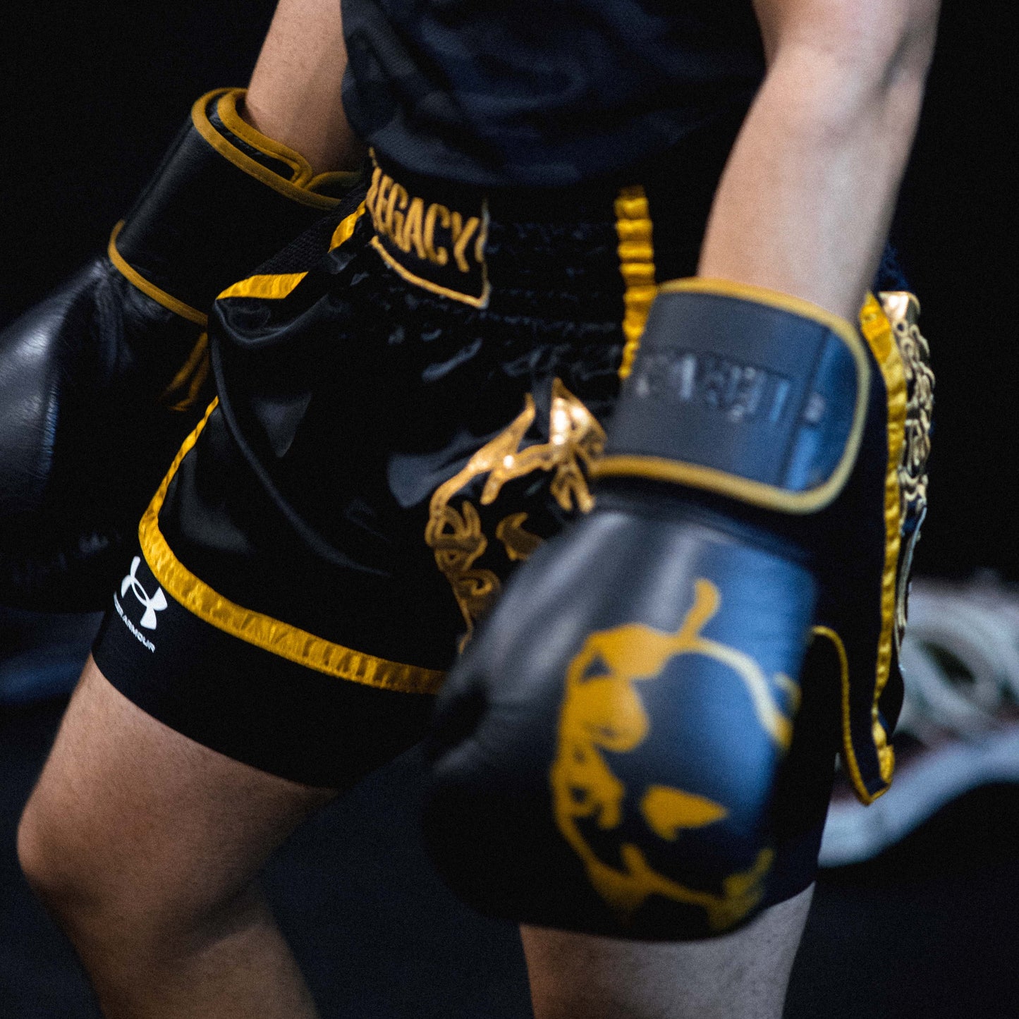 LEGACY THE GOLDEN ERA MUAY THAI SHORTS - Jewelry image 9