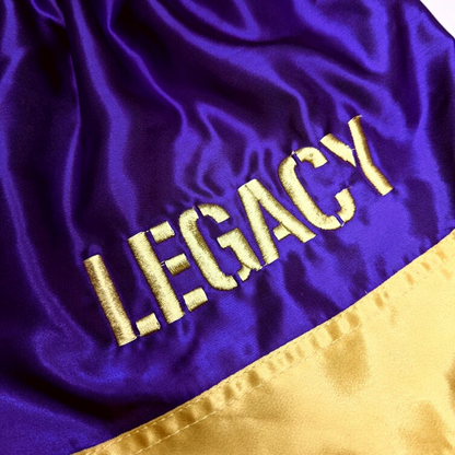 LEGACY TWIN TIGERS MUAY THAI SHORTS - Jewelry image 7