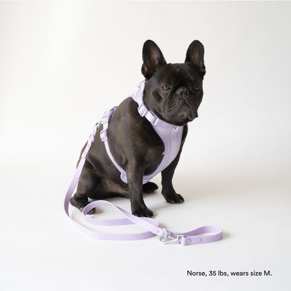 Lilac Harness and Leash Set - Furniture image 2