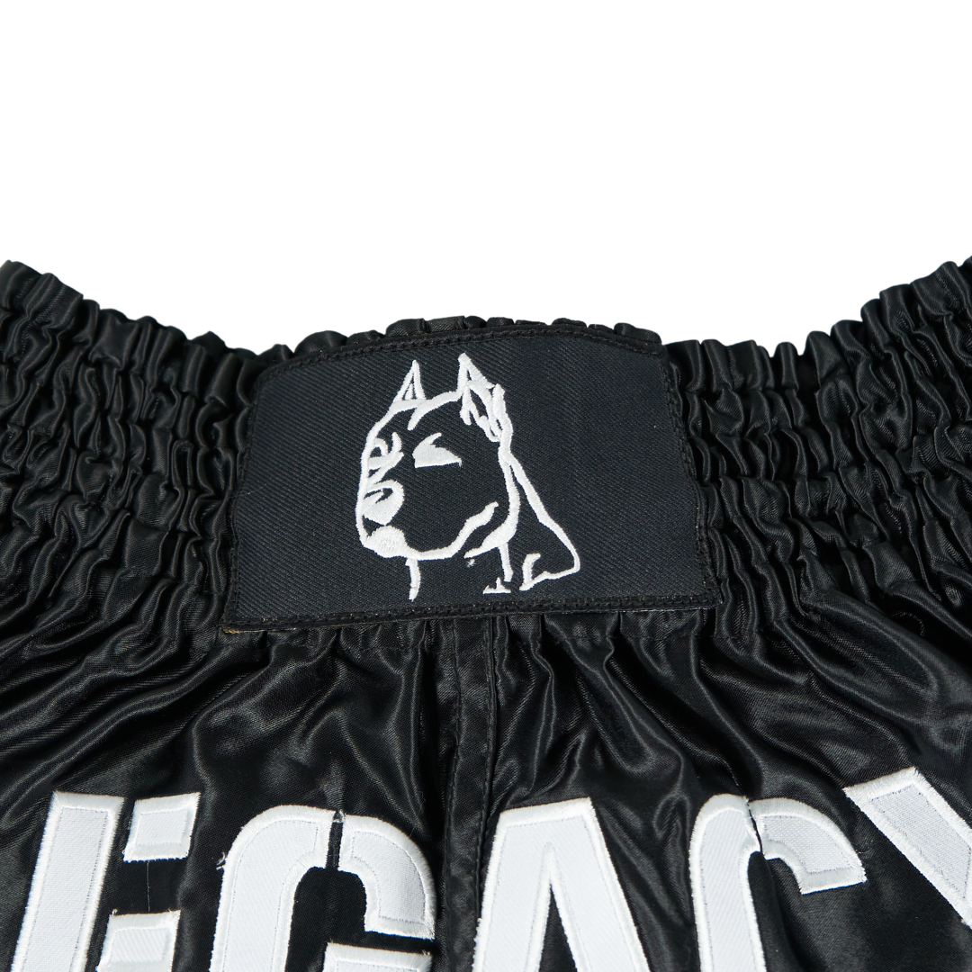 OFFICIAL TEAM LEGACY MUAY THAI SHORTS - Jewelry image 3