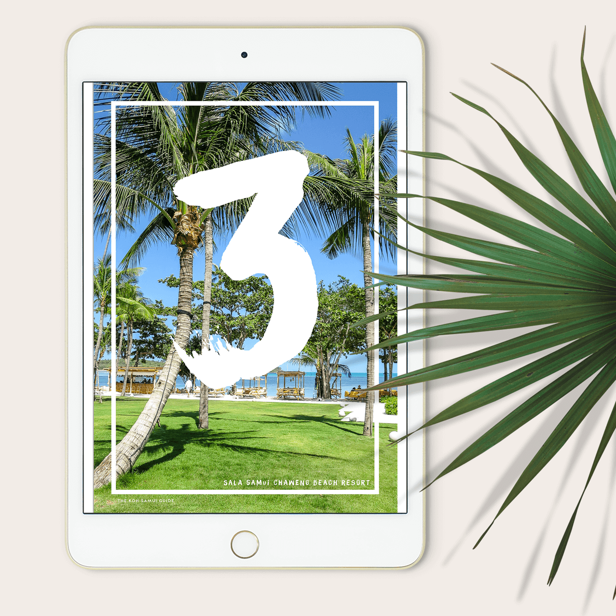 The Koh Samui Guide - Misc image 8