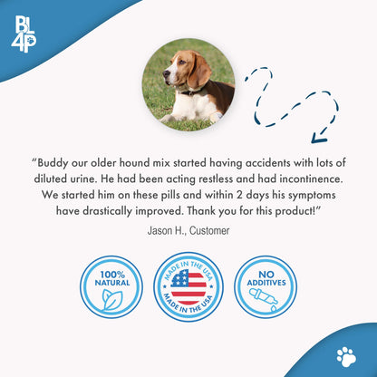 Dog UTI & Bladder Health Bundle (Urinary Tract Infections, Incontinence, Frequent Urination) - Jewelry image 2