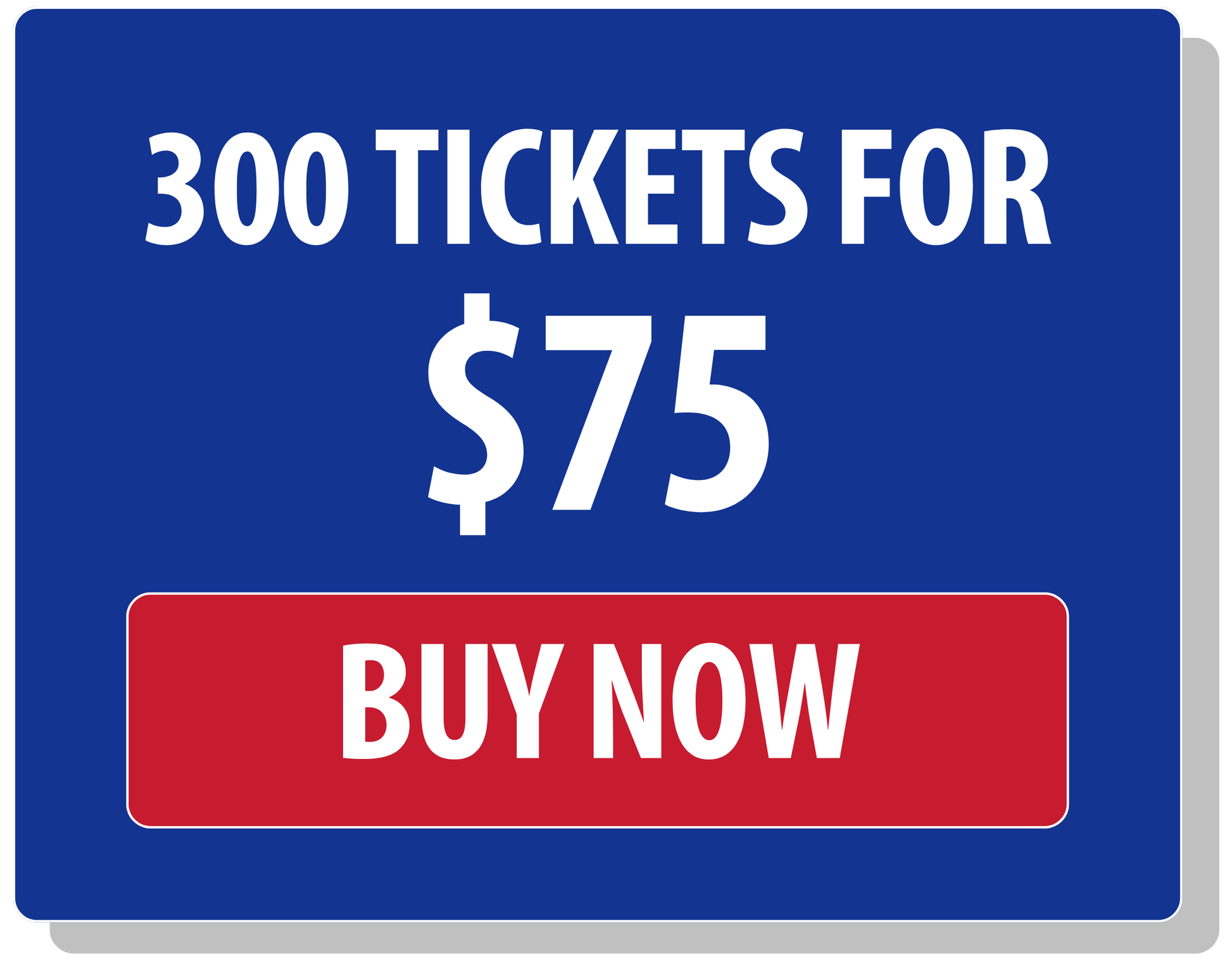 300 for $75 - Misc image 1